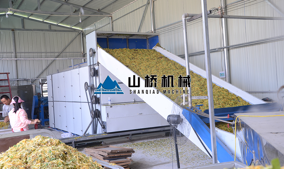 大型金銀花網(wǎng)帶烘干機