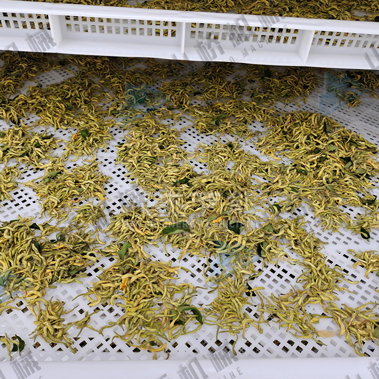 金銀花烘干機(jī)使用經(jīng)驗(yàn)談(圖2)